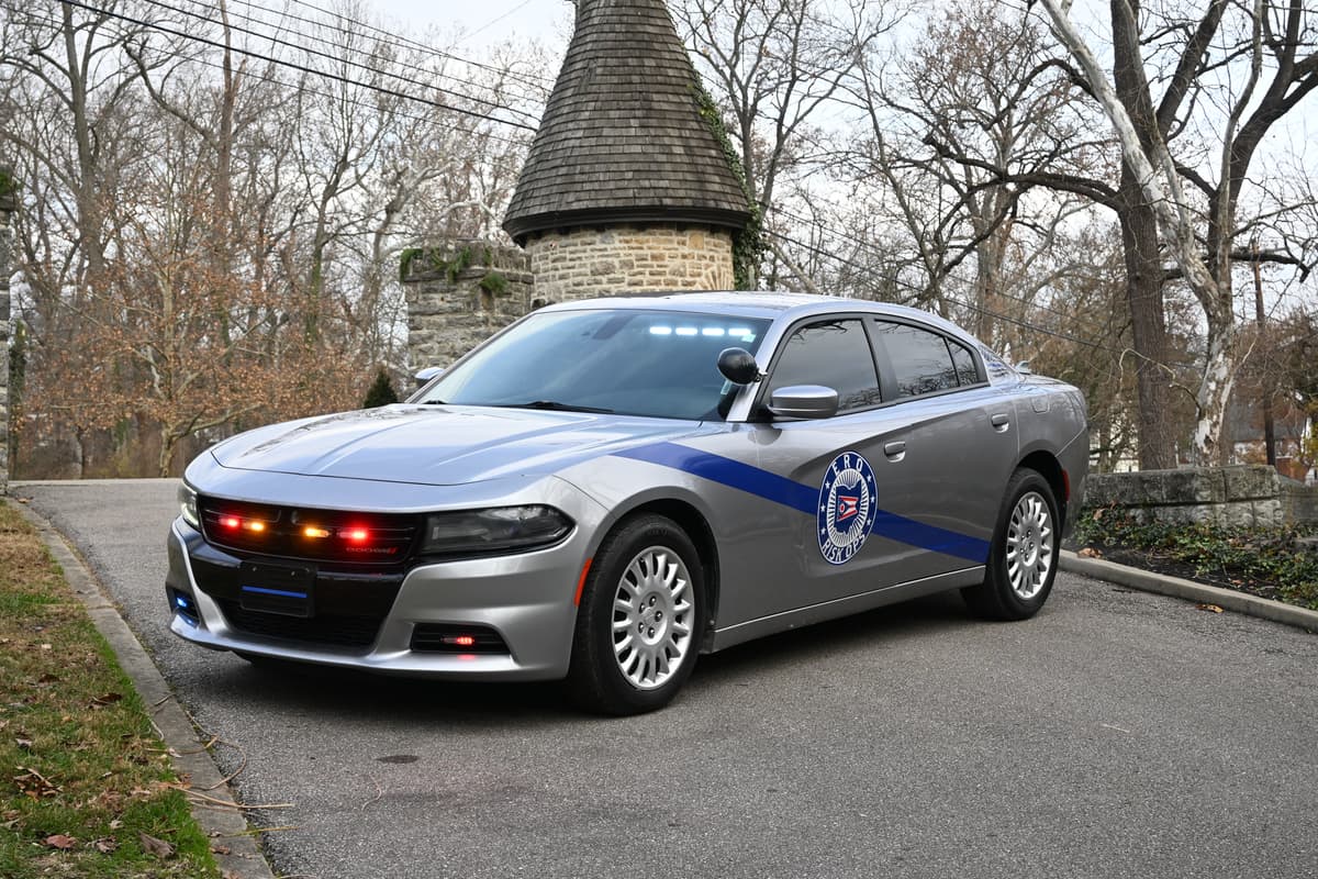 Property Surveillance